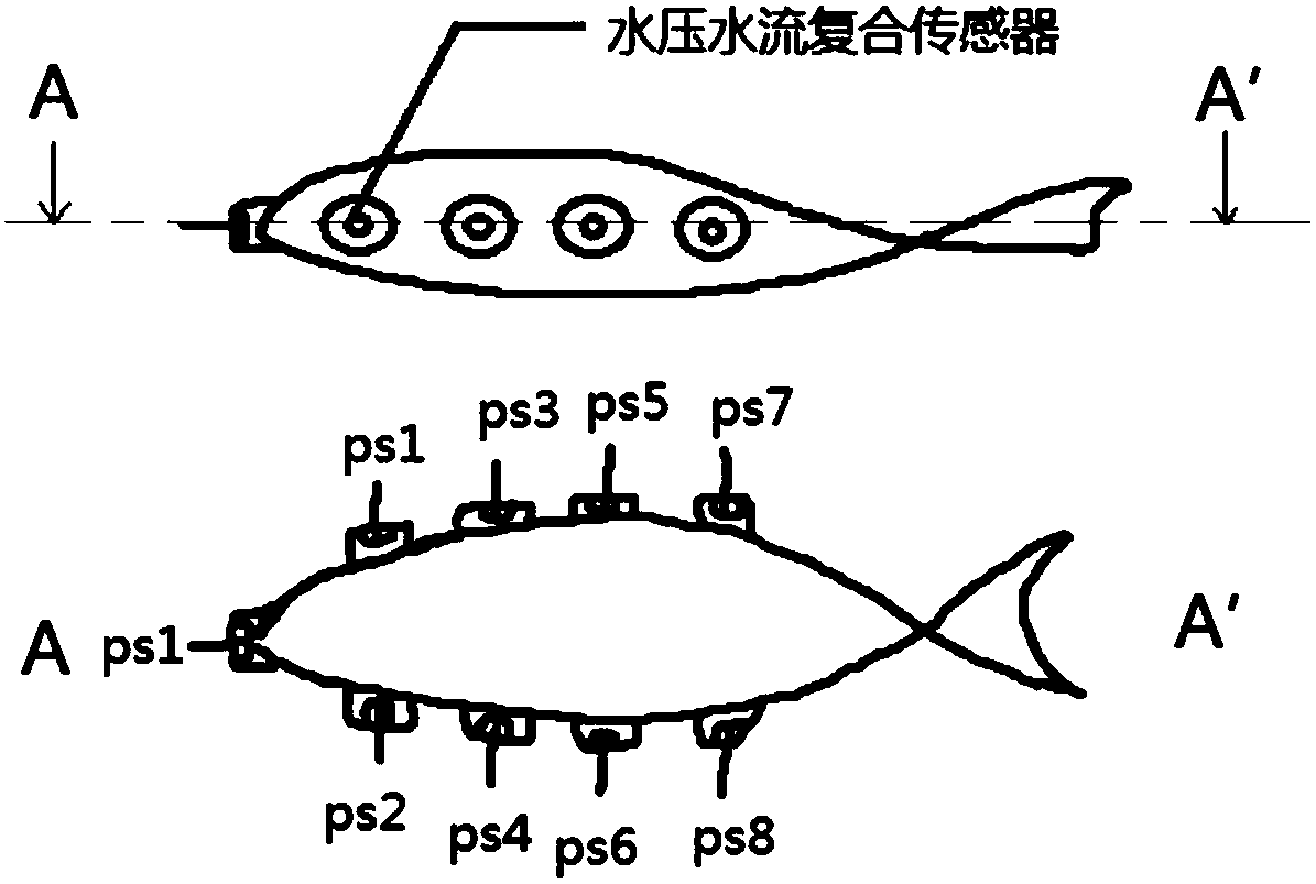 Underwater bionic lateral line water pressure and water flow field information detection method based on neural network