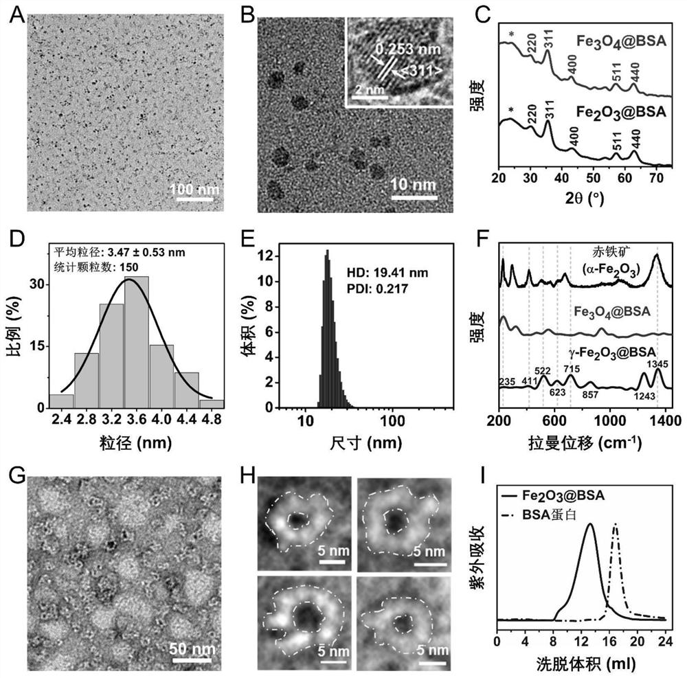 Low-renal-toxicity protein-ferric oxide composite nano magnetic resonance contrast agent as well as preparation method and application thereof