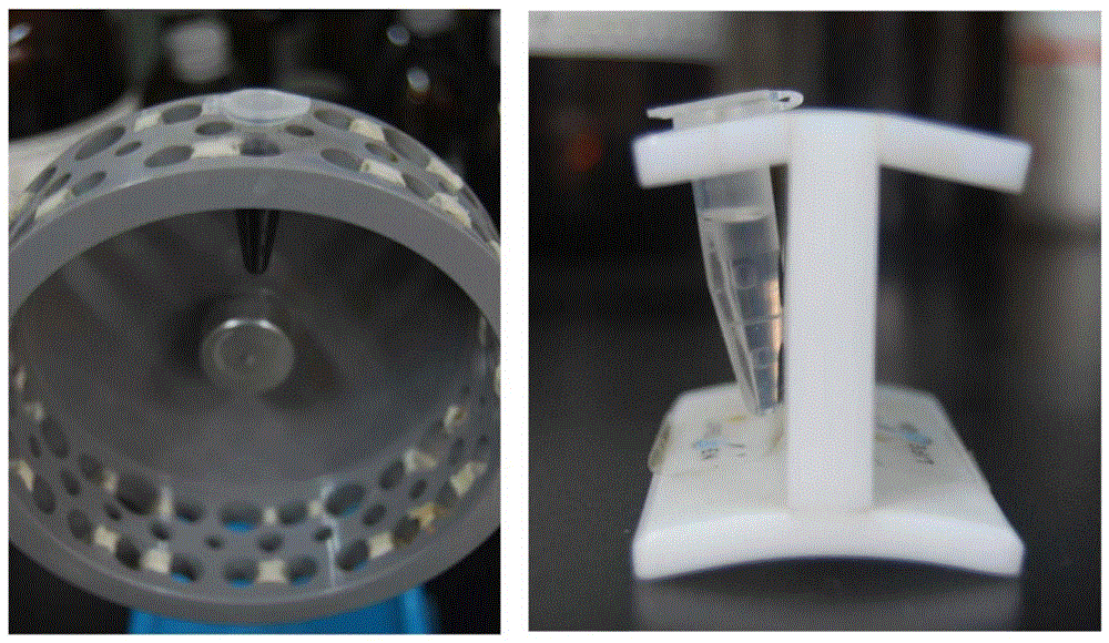 A method for peptide synthesis and simultaneous construction of peptide magnetic nanoprobes using superparamagnetic nanoparticles as a solid phase