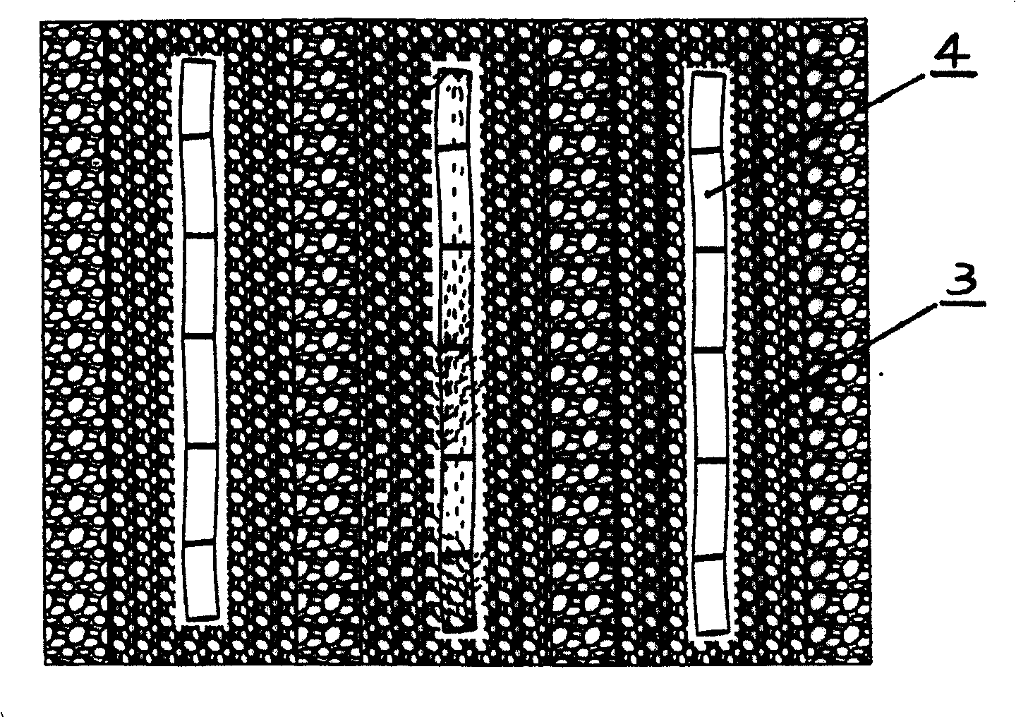 Wide row, double-bud horizontally placing, film-mulching method for sugar cane plantation