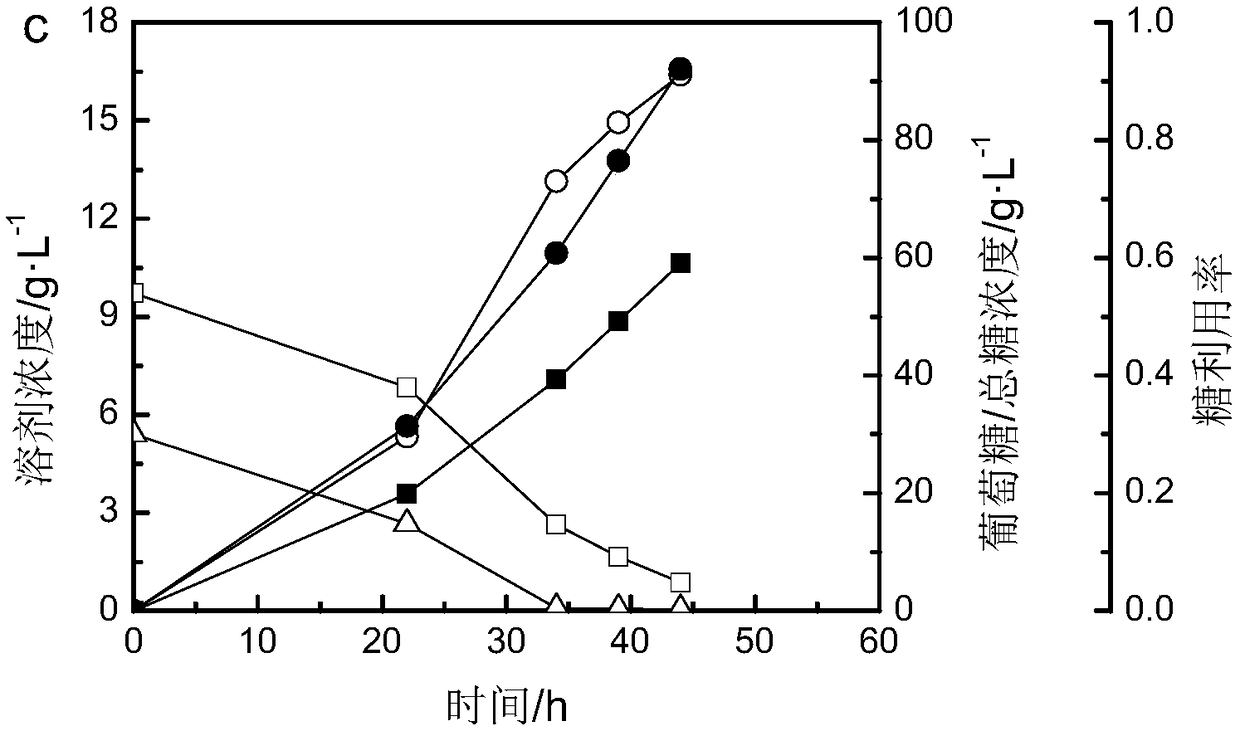 Method for producing butanol by utilizing efficient fermentation of pichia pastoris solid waste