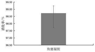 Construction method and application of animal model for detecting digestion and absorption characteristic of protein gel