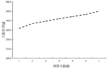 Construction method and application of animal model for detecting digestion and absorption characteristic of protein gel