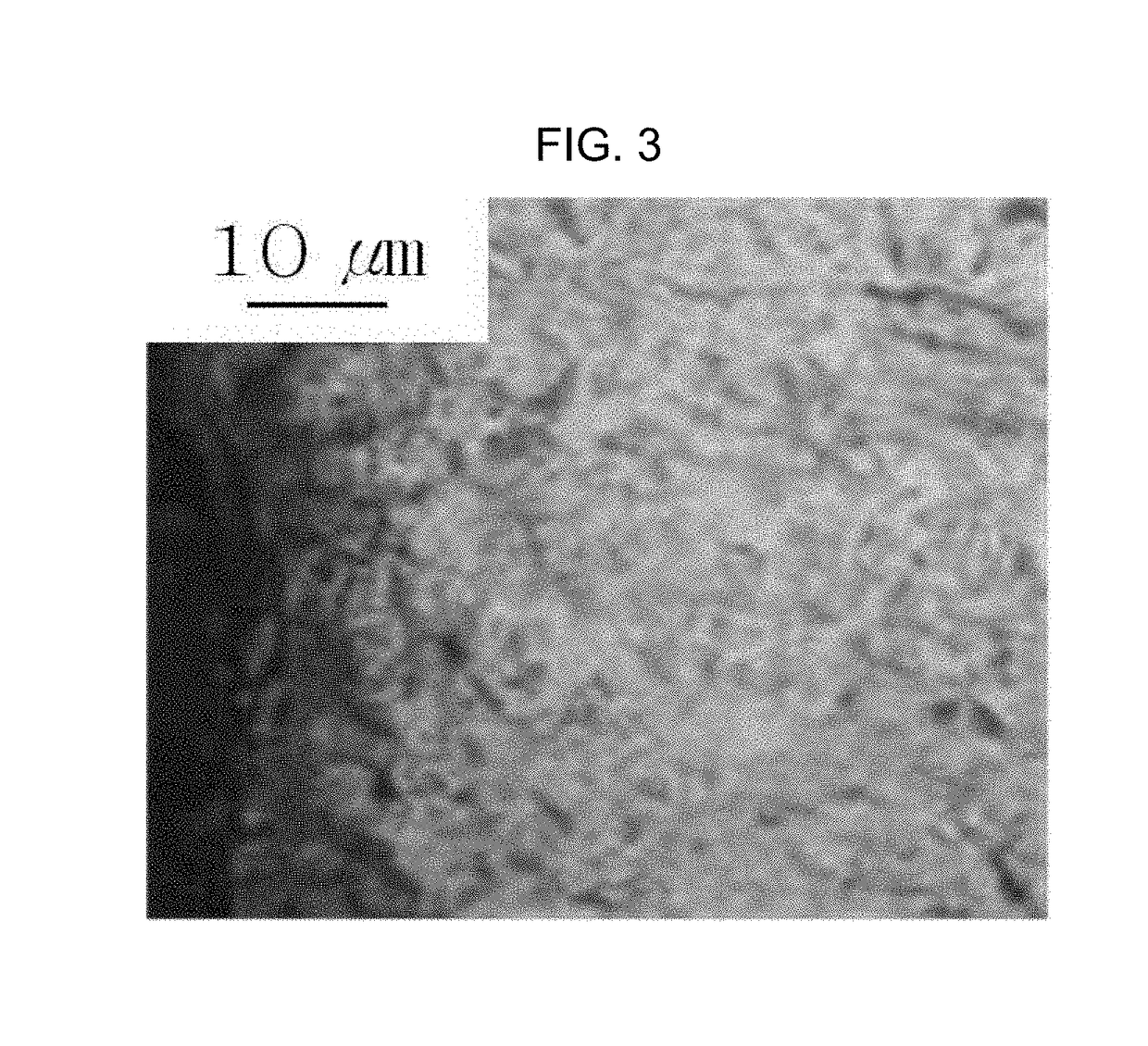 Alloy steel in which carburization is prevented by processing load and method of manufacturing the same