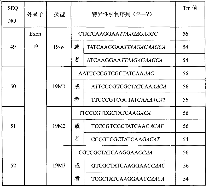 Liquid phase chip for detecting EGFR (epidermal growth factor receptor) gene mutation