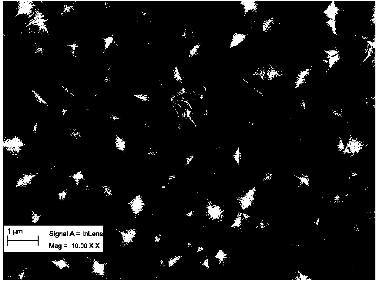 Surface modified coating cutting blade and preparation method thereof