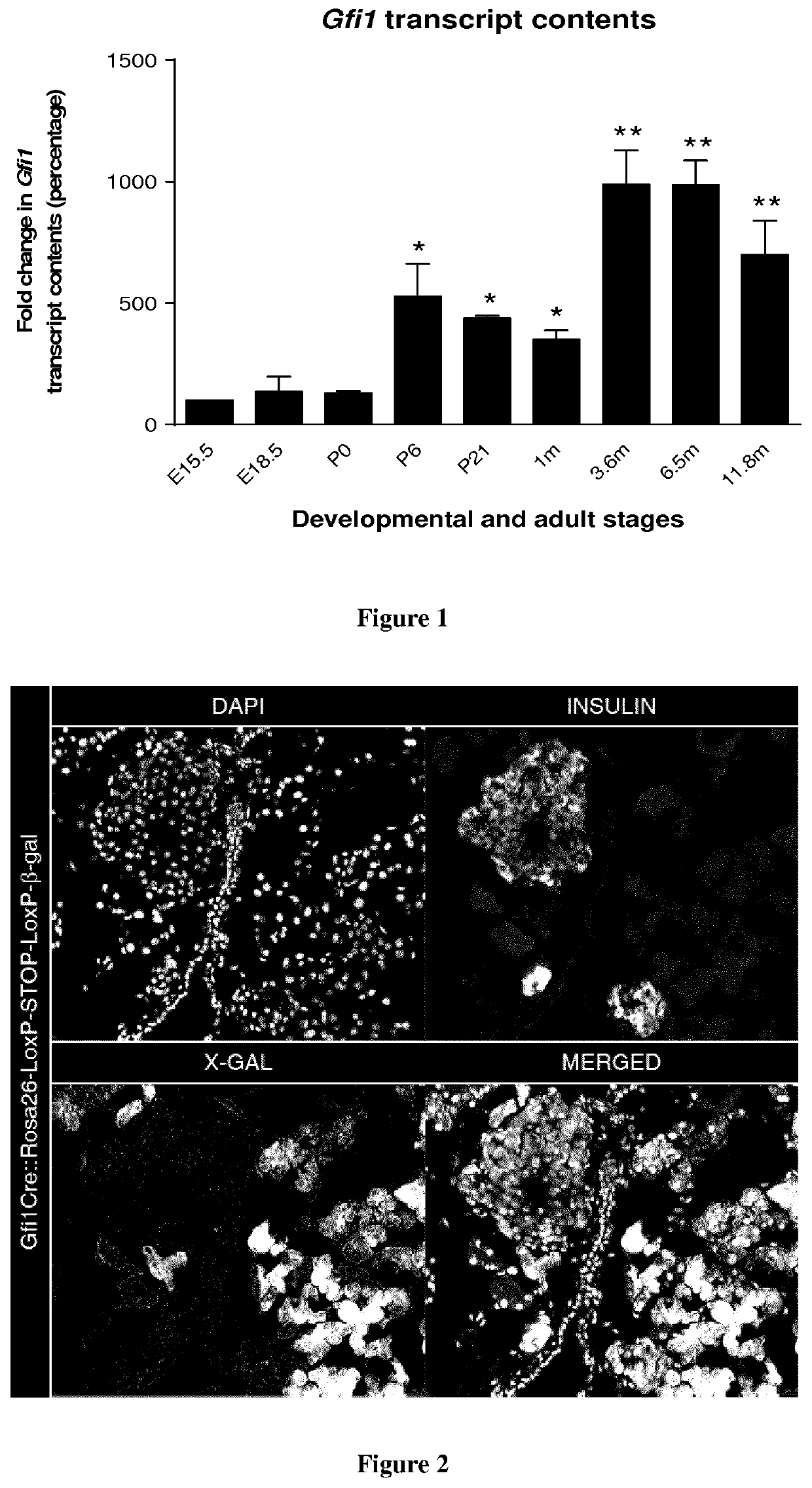 GFI1 inhibitors for the treatment of hyperglycemia