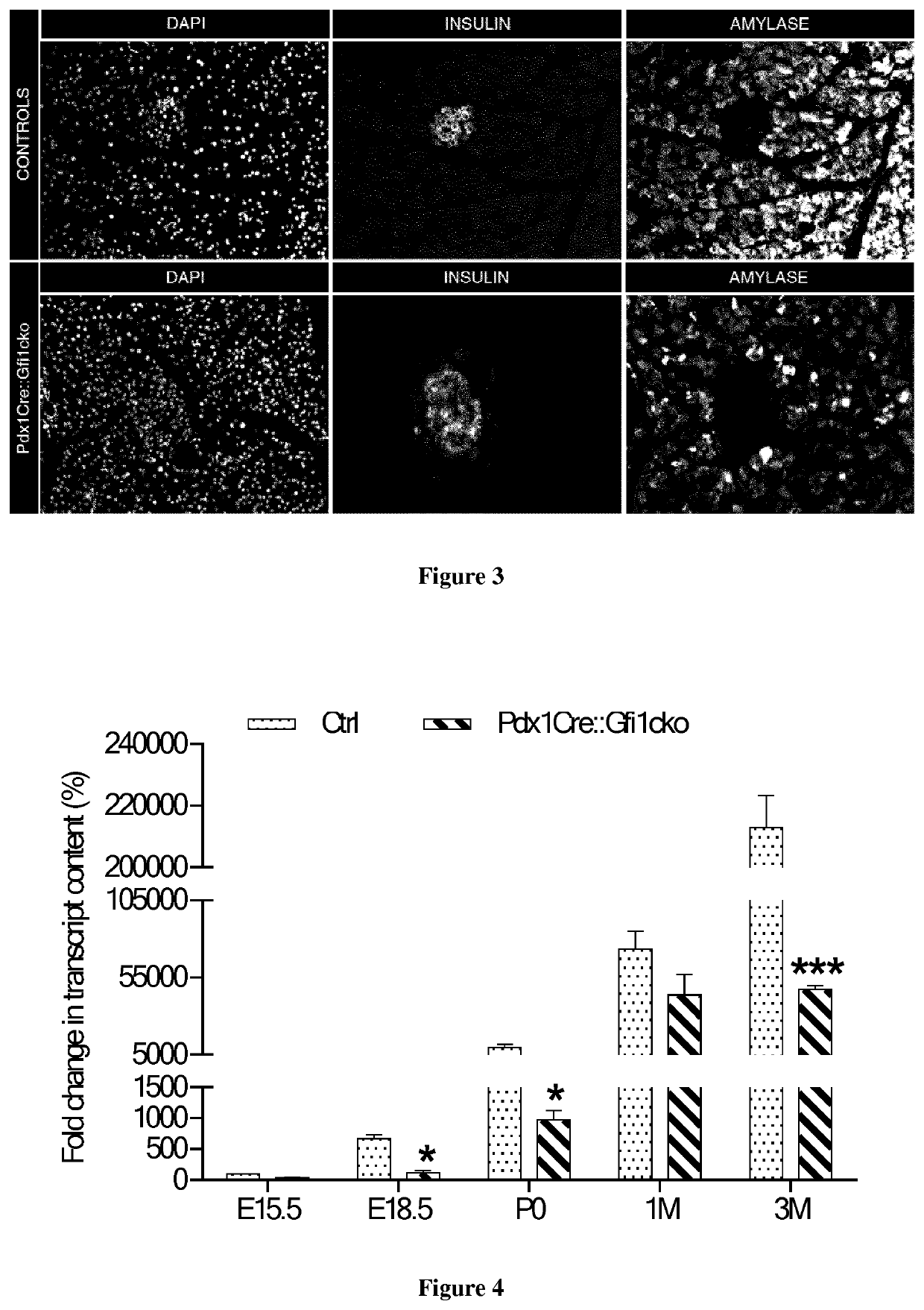 GFI1 inhibitors for the treatment of hyperglycemia