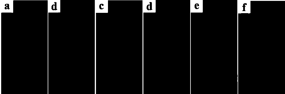 Preparation method of graphene nanoplatelet/epoxy resin nanocomposite material