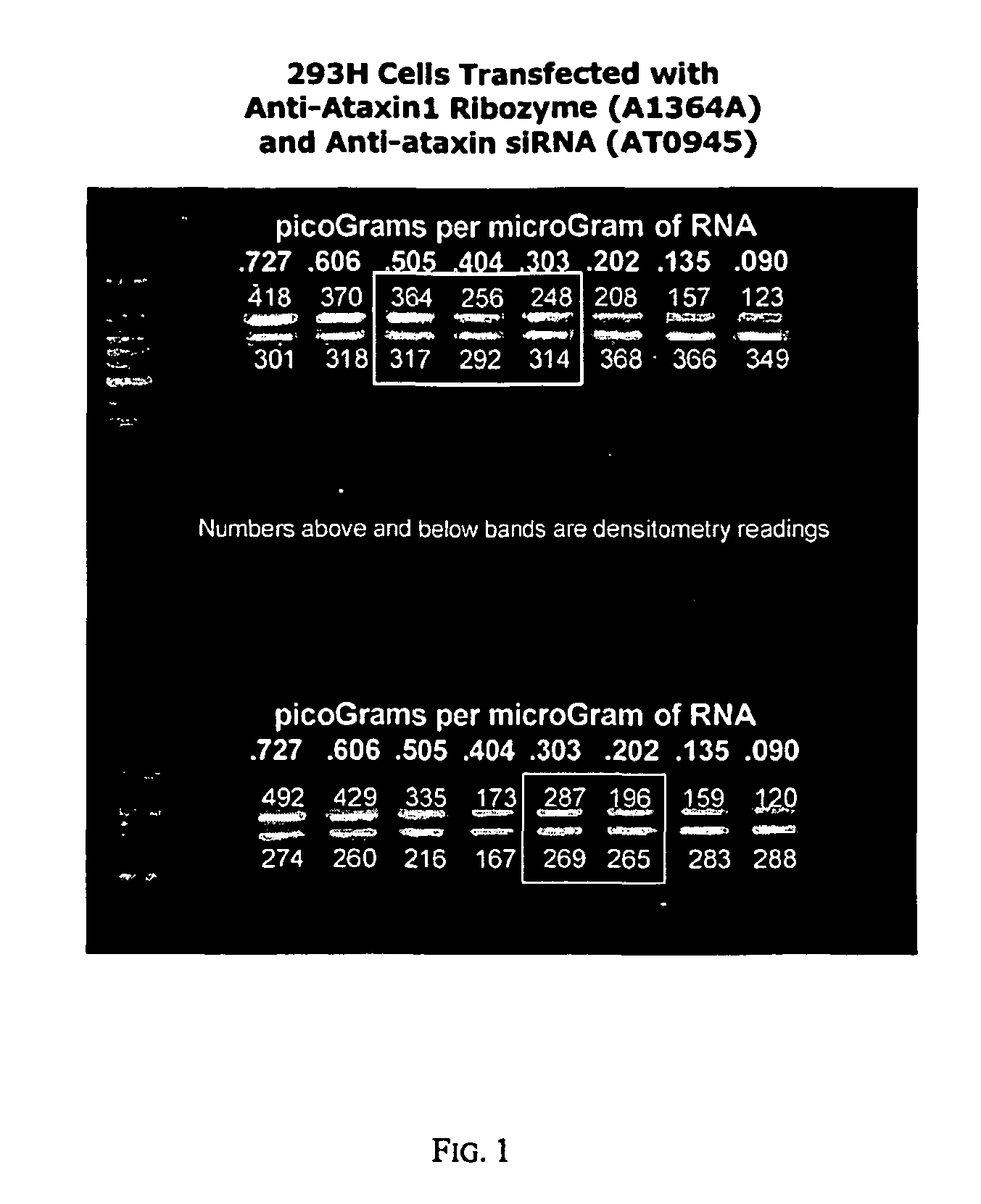 Treatment of neurodegenerative disease through intracranial delivery of siRNA