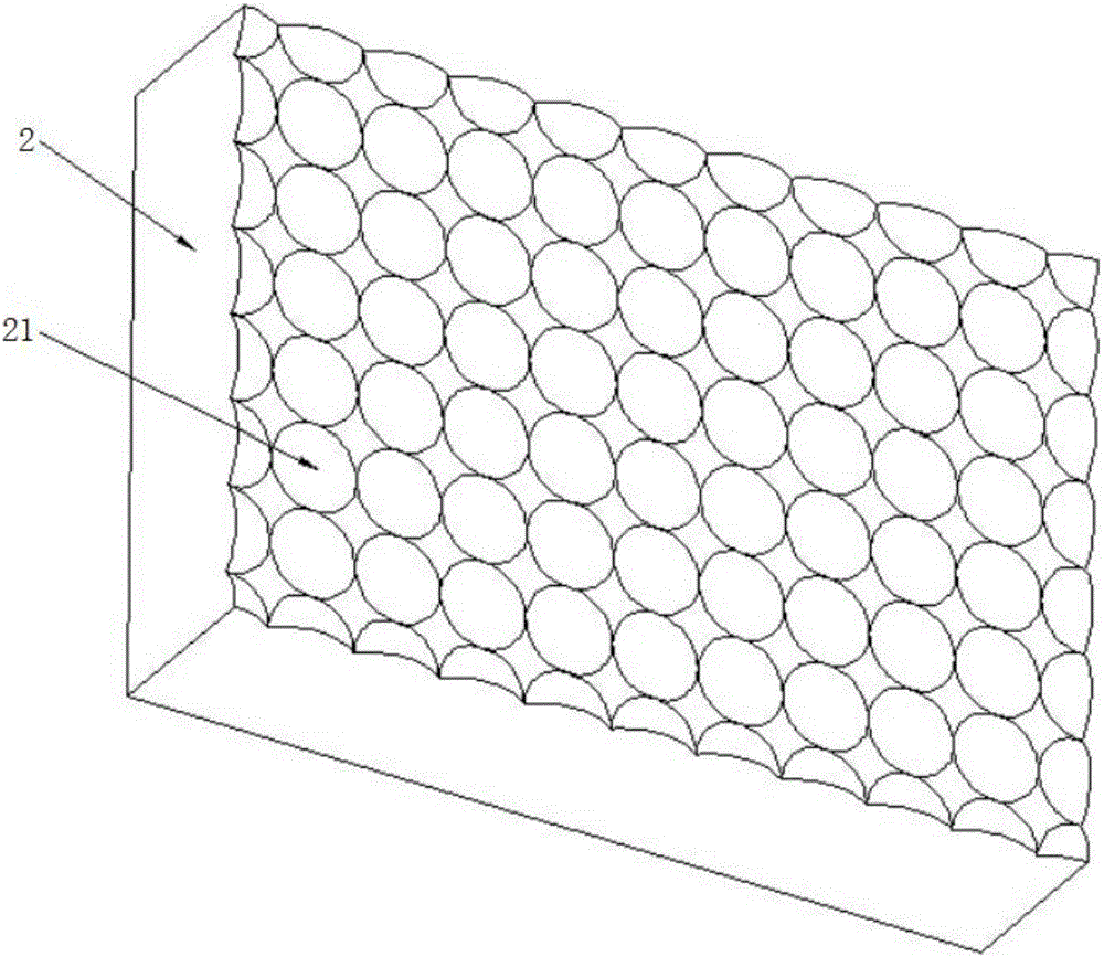 Biomimetic liquid distributor and manufacturing method thereof