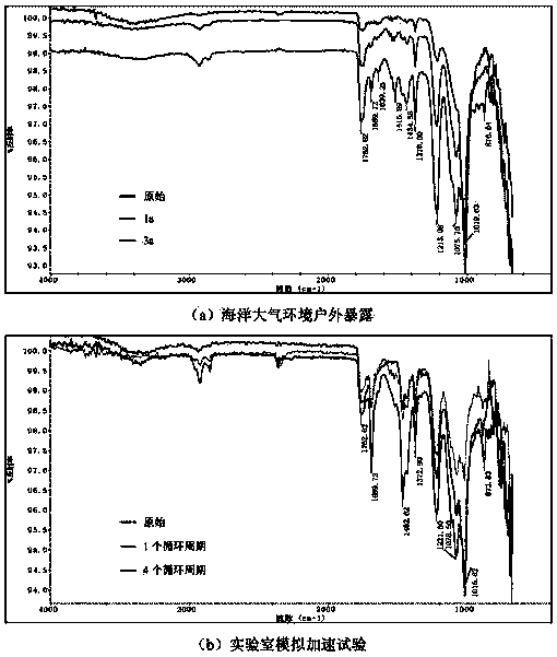 Marine atmosphere simulated accelerated testing method for coating