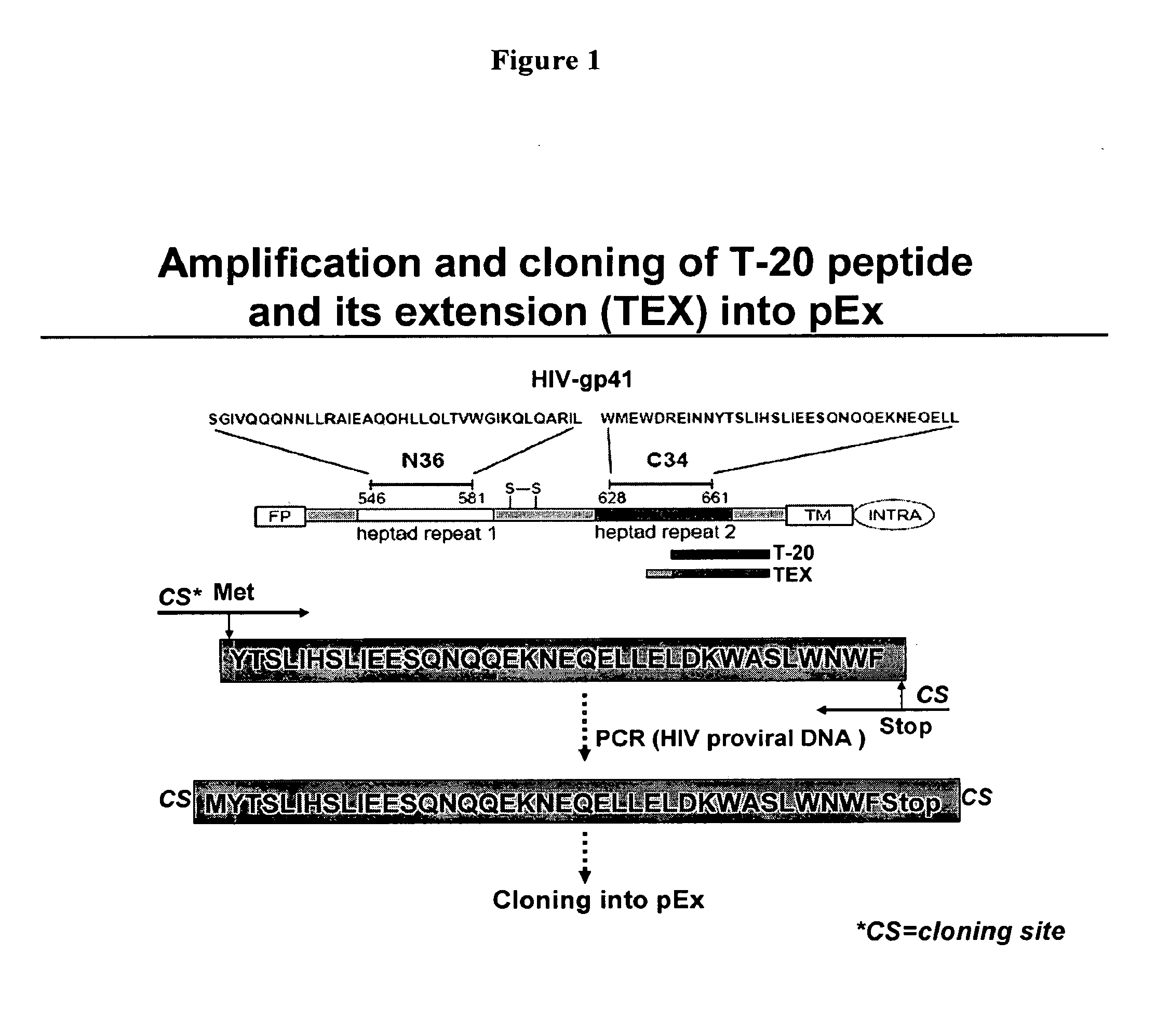 Biosynthetic Polypeptide Fusion Inhibitors