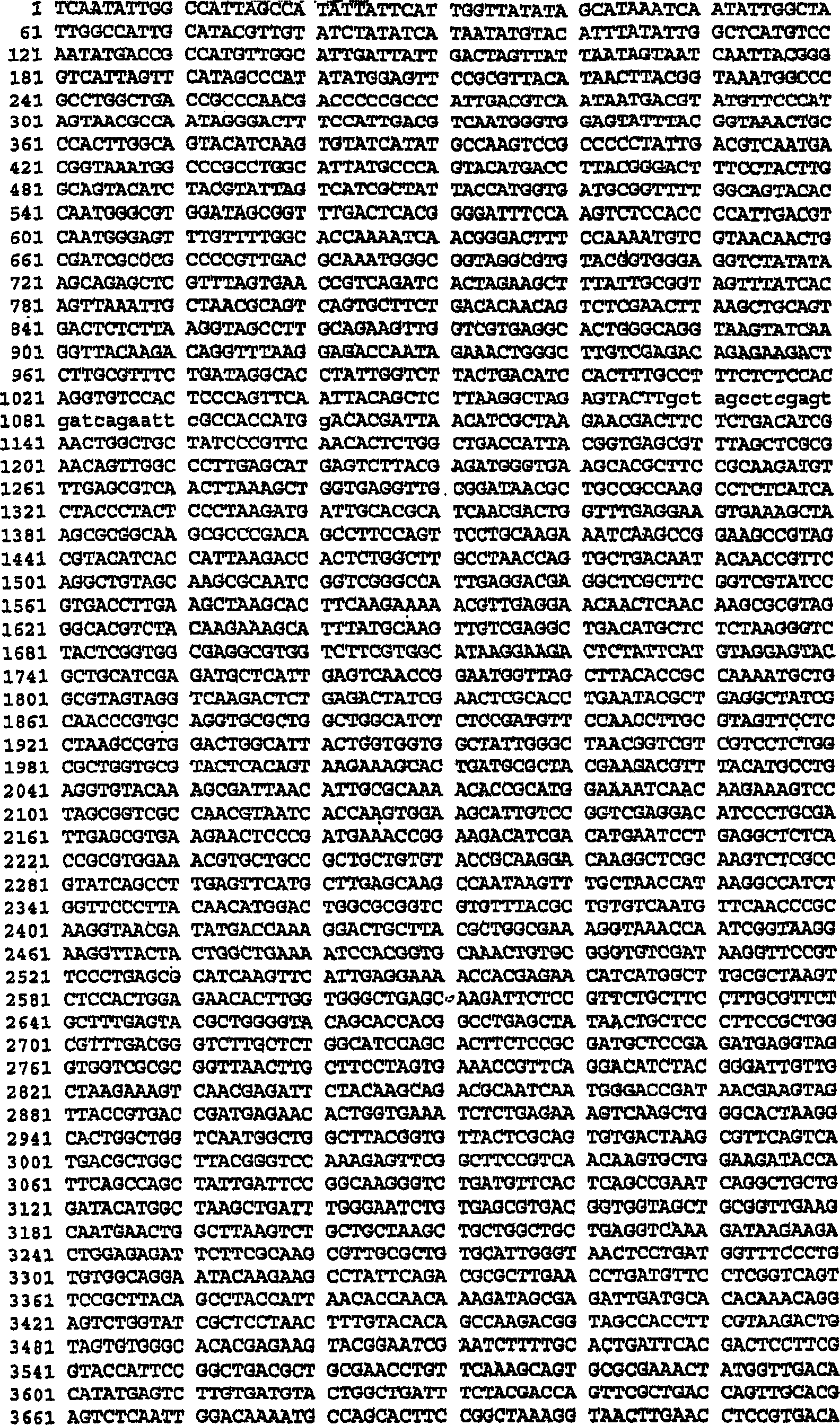 Method for the recovery of non-segmented, nagative-stranded rna viruses from cdna