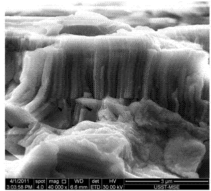 Nano columnar crystal thermal barrier coating layer and preparation method thereof