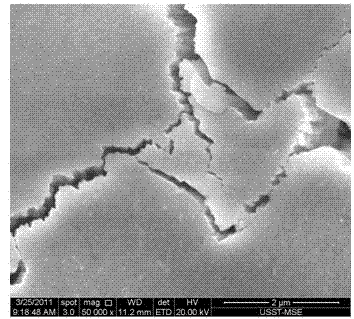 Nano columnar crystal thermal barrier coating layer and preparation method thereof