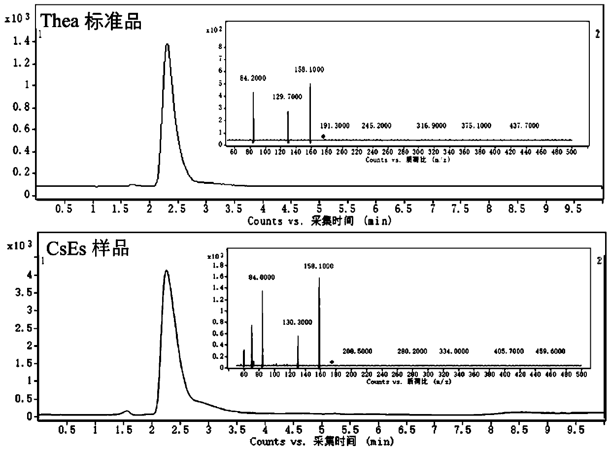 Flora for producing L-theanine and application of flora