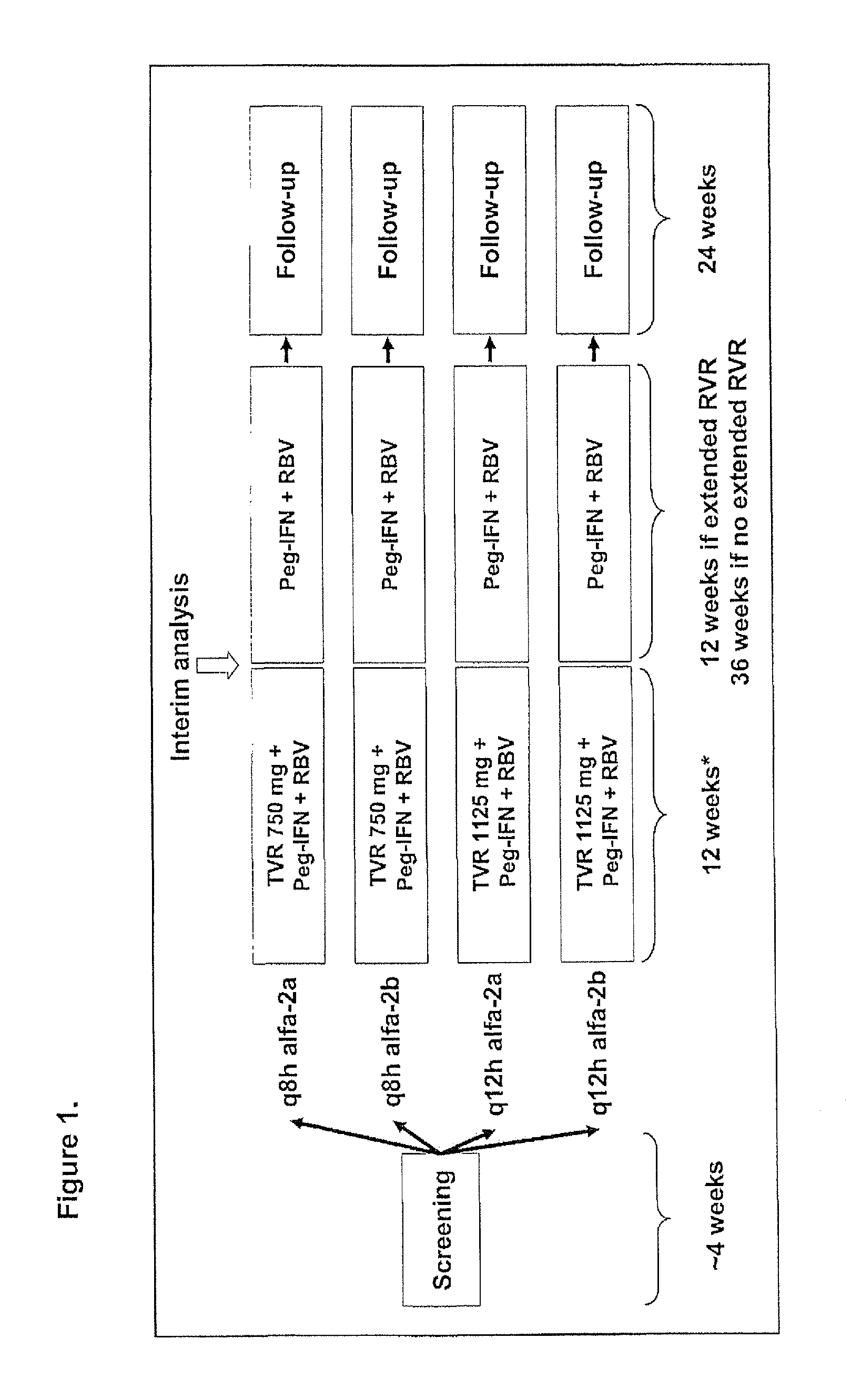 Therapeutic regimen comprising peg-interferon, ribavirin and vx-950 for the treatment of hepatitis