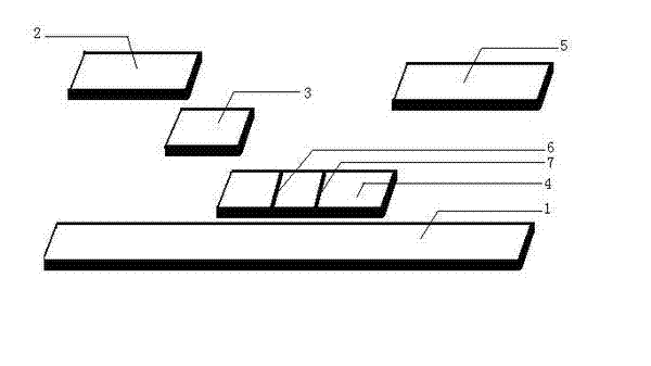 Detection reagent of treponema pallidum IgM (Immunoglobulin M) antigen colloidal gold method and preparation method thereof