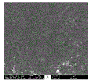 Preparation process of novel C/Si film