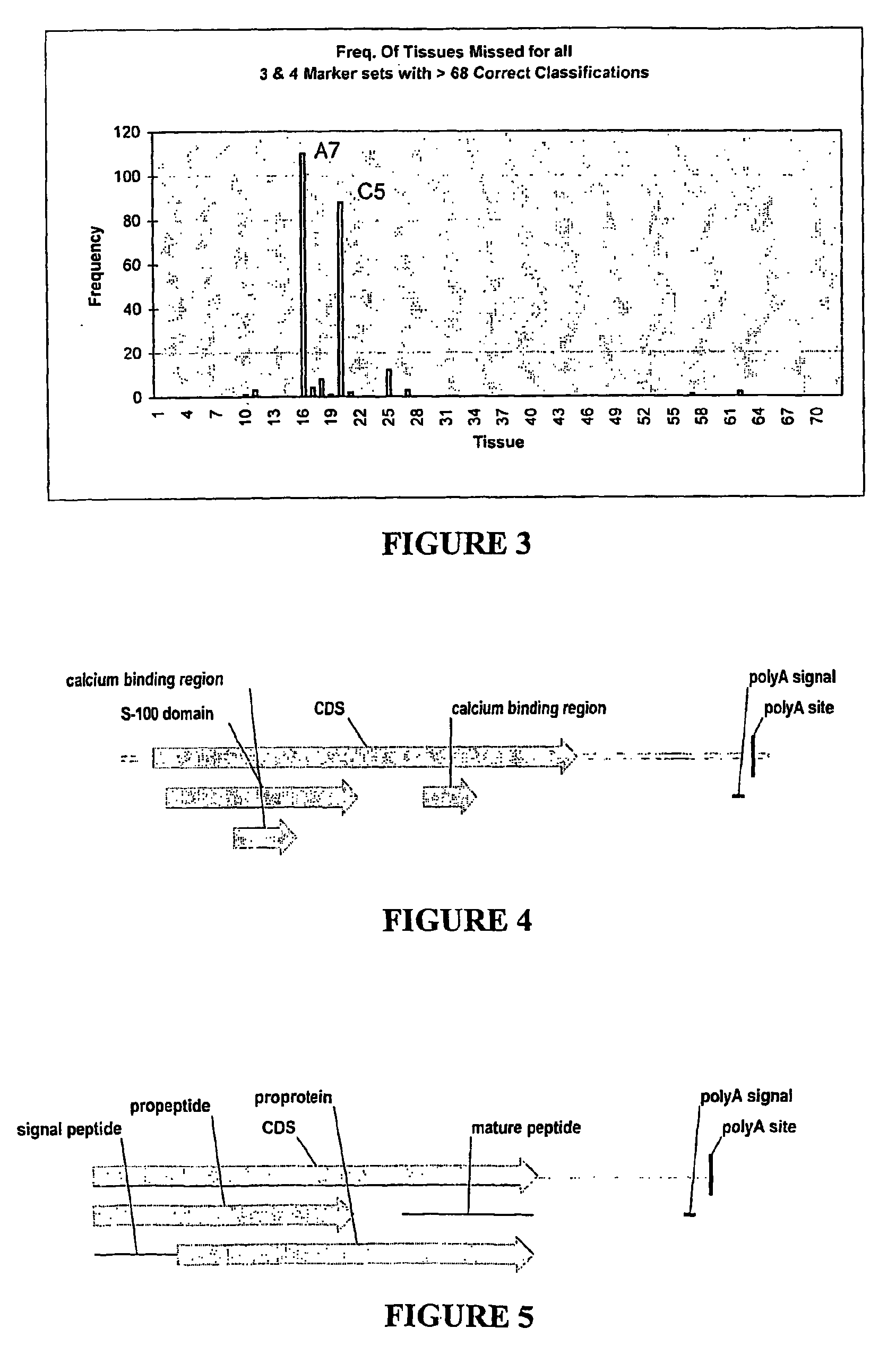 Nucleic acid markers for use in determining predisposition to neoplasm and/or adenoma