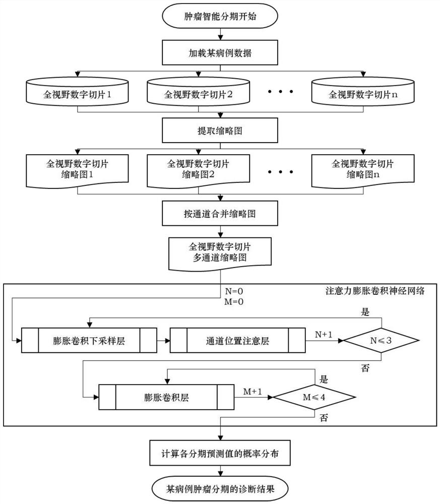 Patient-level tumor intelligent diagnosis method based on full-view digital slicing