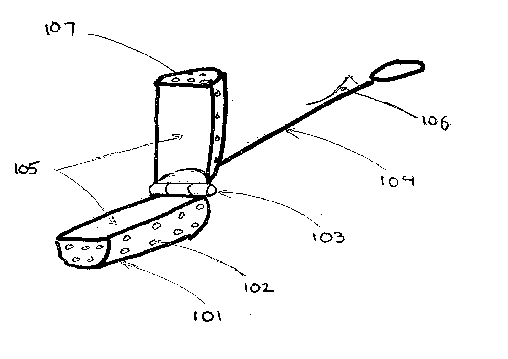 Dry ice vaporizing device and method