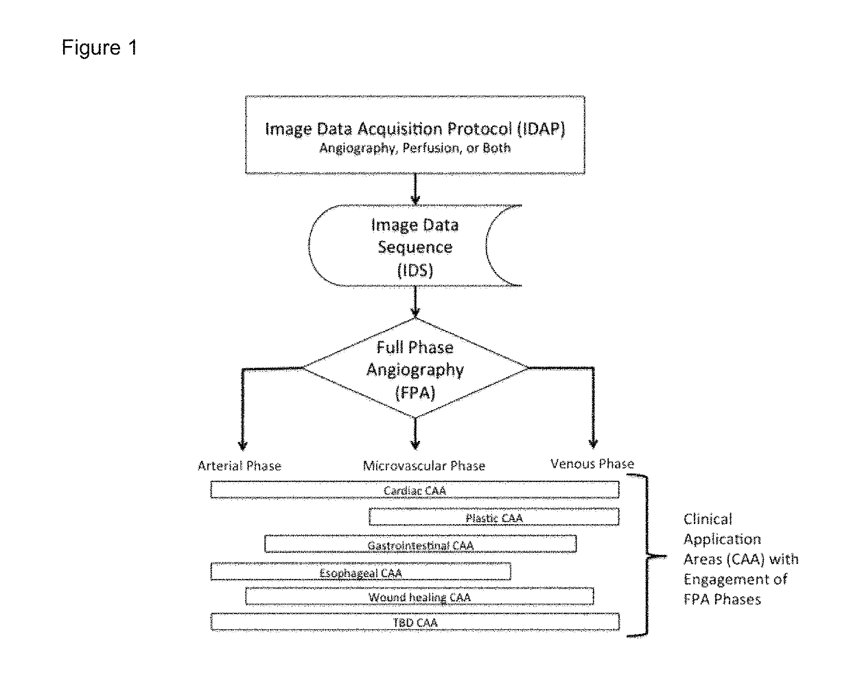 Quantification and analysis of angiography and perfusion