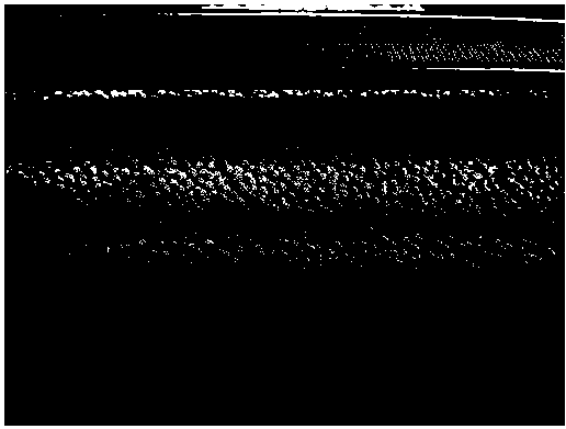 A Rapid Preparation Process of Inert Based Dispersed Fuel Pellets