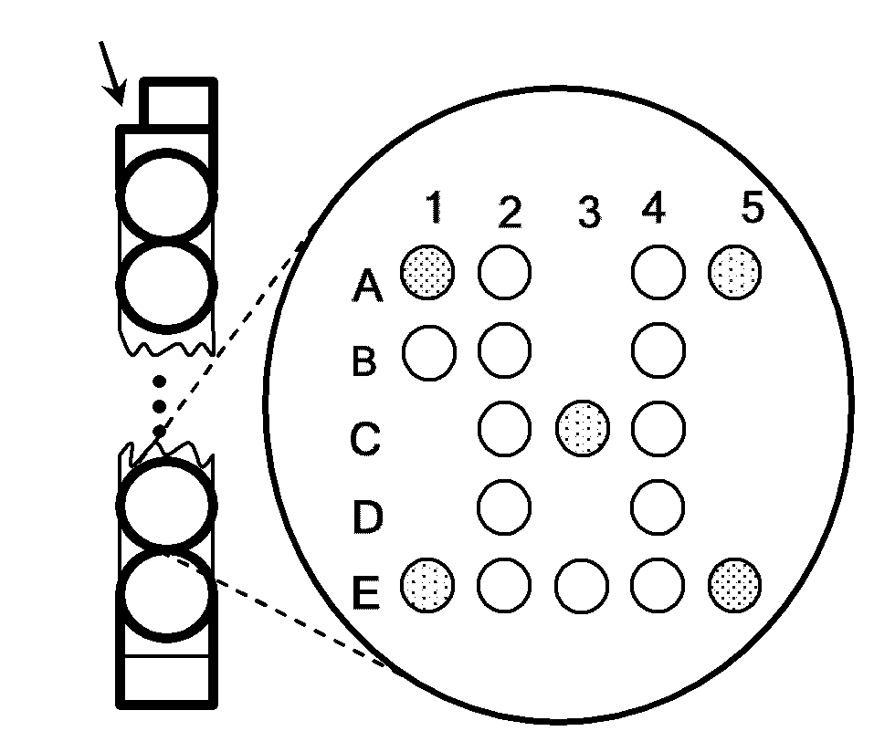 Kit and method for detecting food-borne pathogenic bacteria