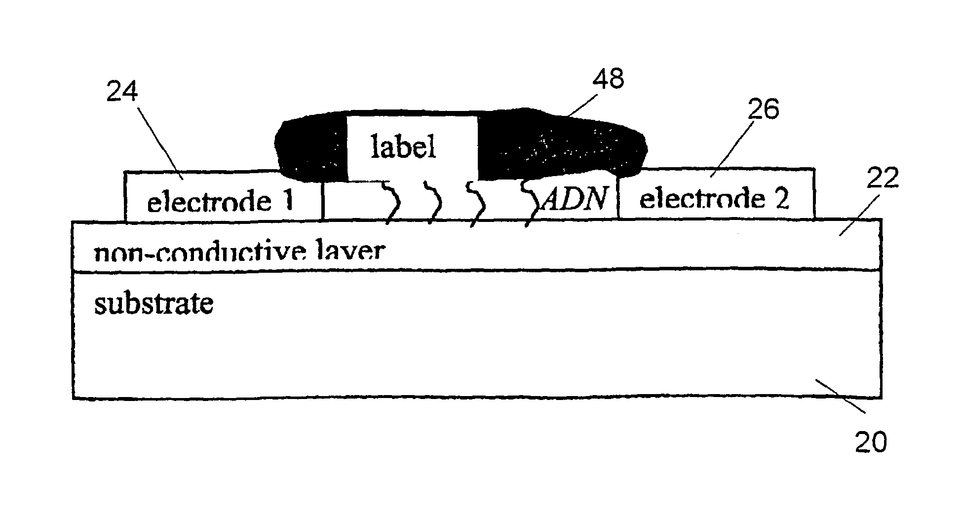 Method and device for high sensitivity detection of the presence of DNA and other probes