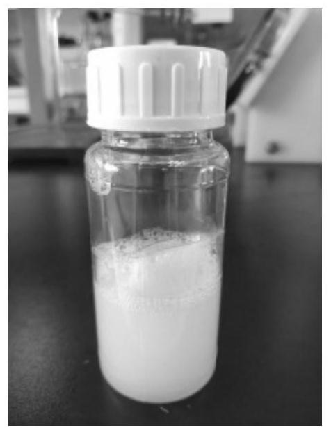 High-stability phenol-yellowing-resistant silicone oil softener and preparation method thereof