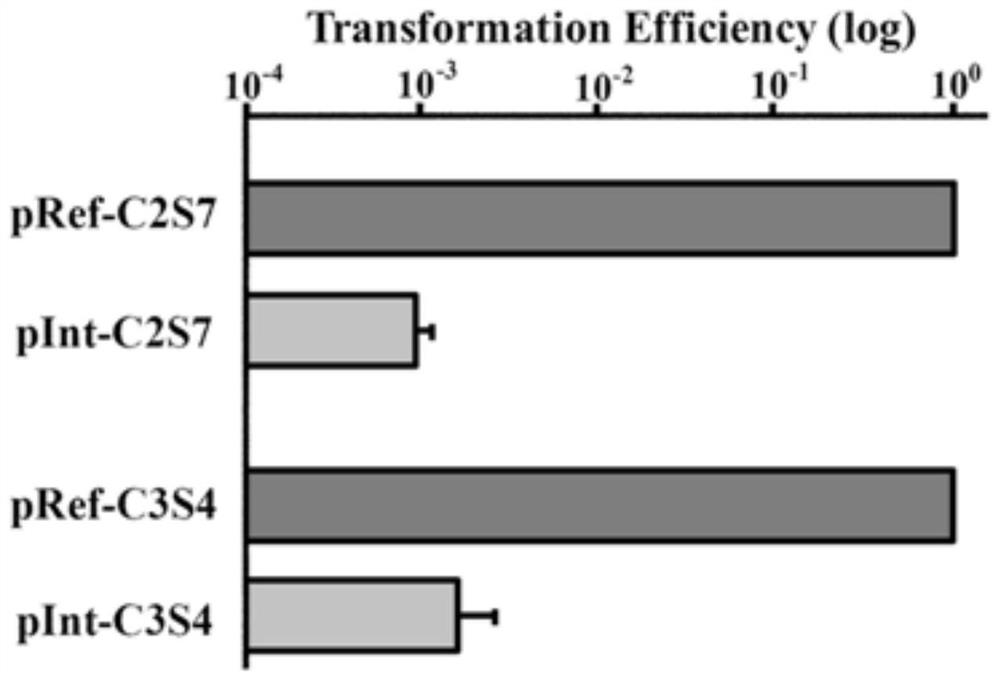 A method for efficient deletion of large genome fragments based on the endogenous CRISPR-Cas system of Zymomonas mobilis and its application