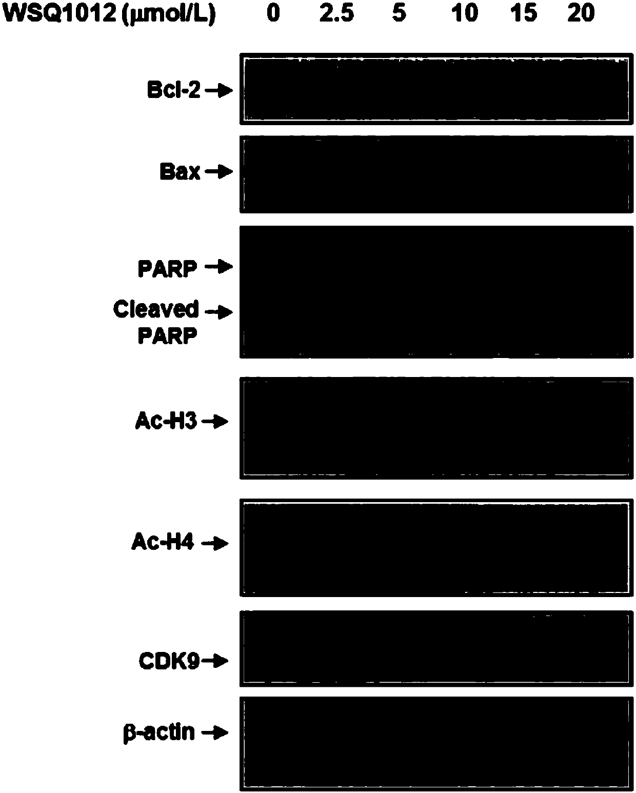 N-substituted-5-((4-substituted pyrimidine-2-yl)amino)indole derivative as well as preparation method and purpose thereof