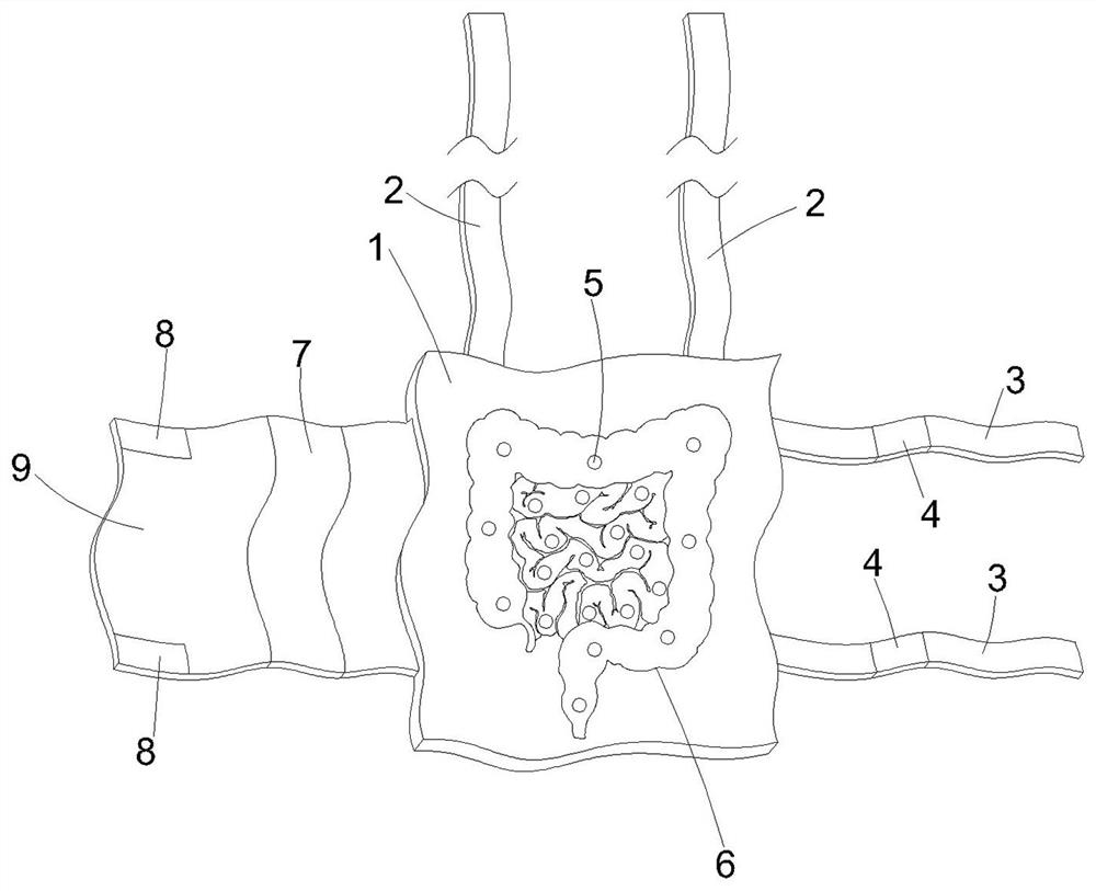 Intelligent borborygmus positioning and collecting device