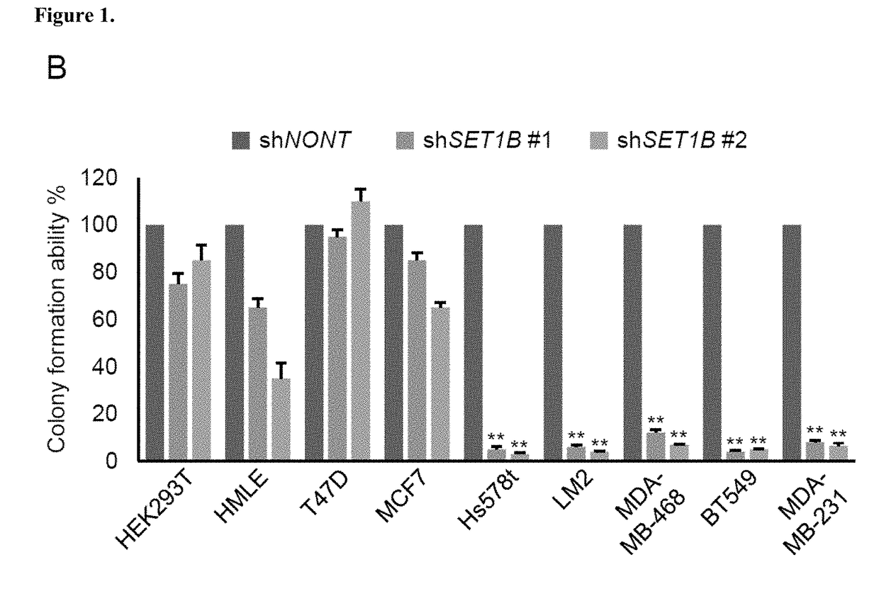 Therapeutic targeting of set1b/compass pathway for treating cancers