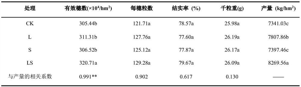 Early rice seedling slinging cultivation method after full-amount returning of triple-cropping rape straw