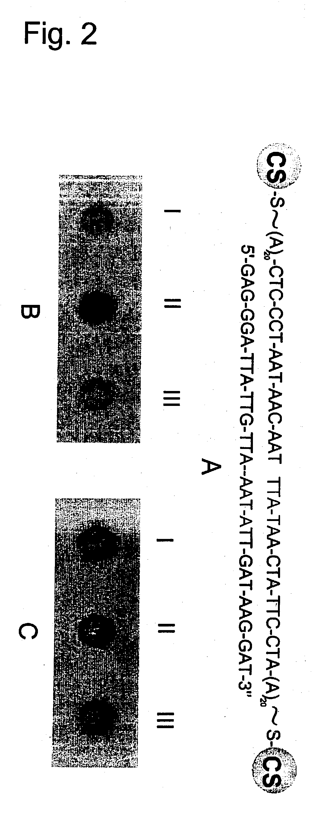 Non-alloying core shell nanoparticles