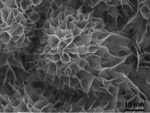 Preparation method for constructing two-dimensional metal-organic frameworks (MOFs) nano-hydrolysis electrocatalyst based on foamy copper and application of two-dimensional MOFs nano-hydrolysis electrocatalyst to water electrolysis for hydrogen evolution