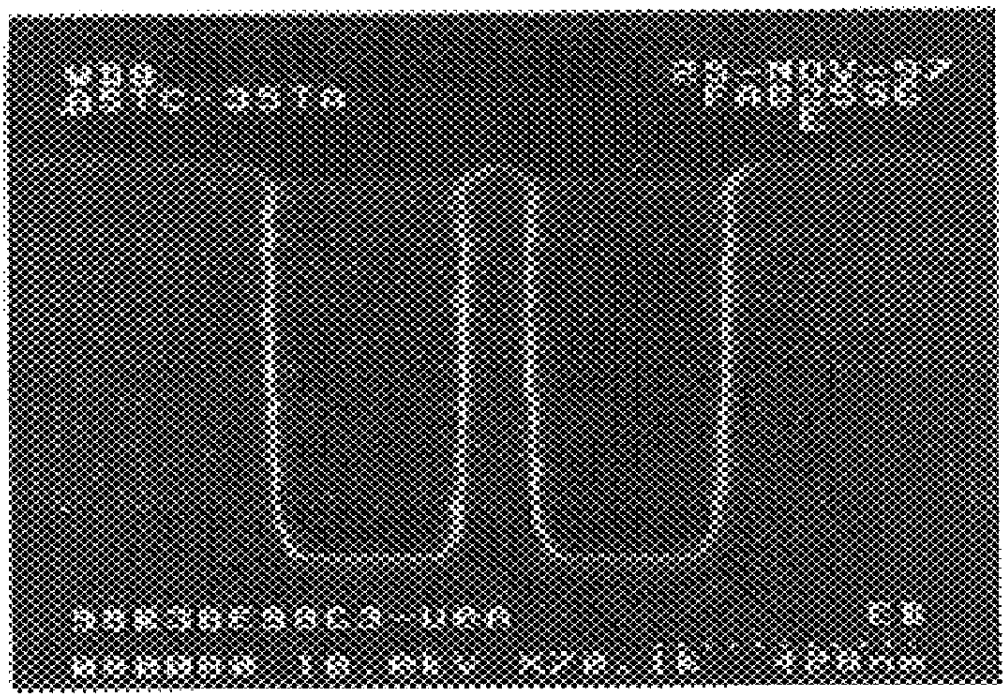 High density plasma CVD process for making dielectric anti-reflective coatings