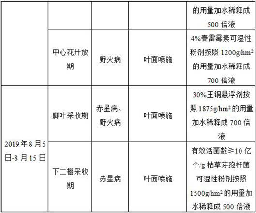 Pesticide applying control method for susceptible diseases of Mammoth gold under acid soil condition