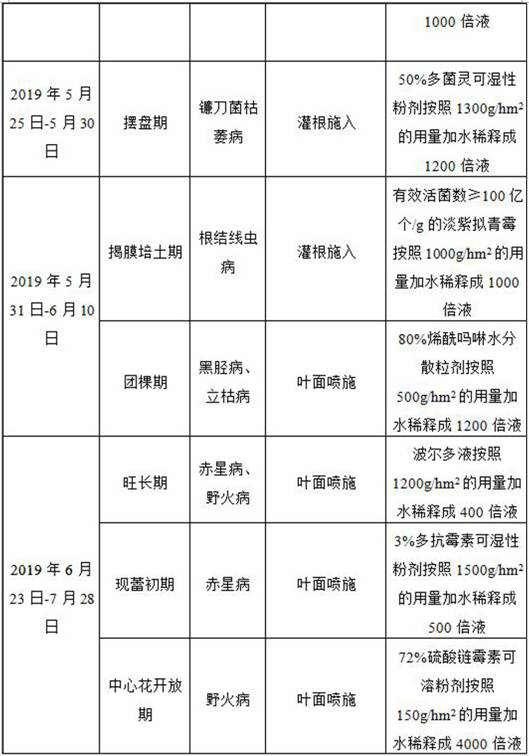 Pesticide applying control method for susceptible diseases of Mammoth gold under acid soil condition