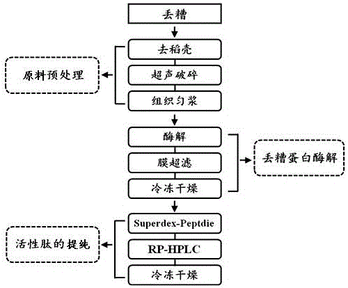 Method for preparing active peptide from waste fermented grains