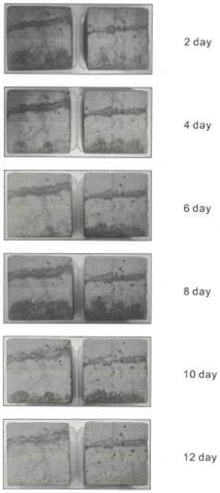 Anti-bacterial algae adhesion coating for concrete