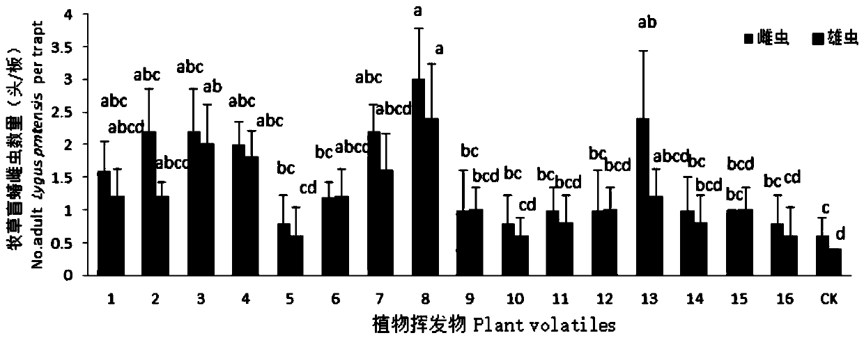 Novel tarnished plant bug attractant, preparation method thereof and application of attractant