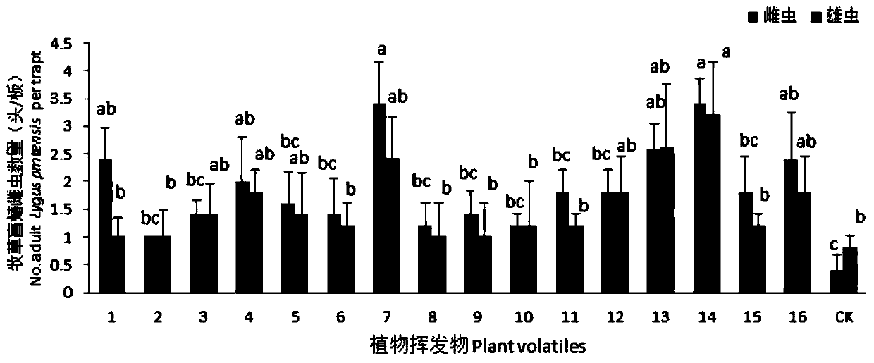 Novel tarnished plant bug attractant, preparation method thereof and application of attractant