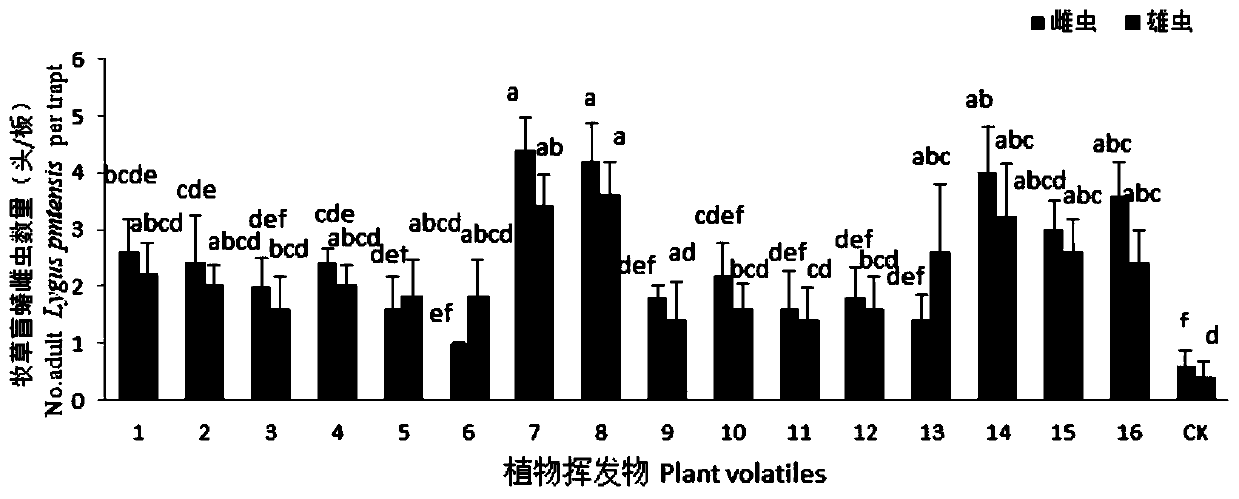 Novel tarnished plant bug attractant, preparation method thereof and application of attractant