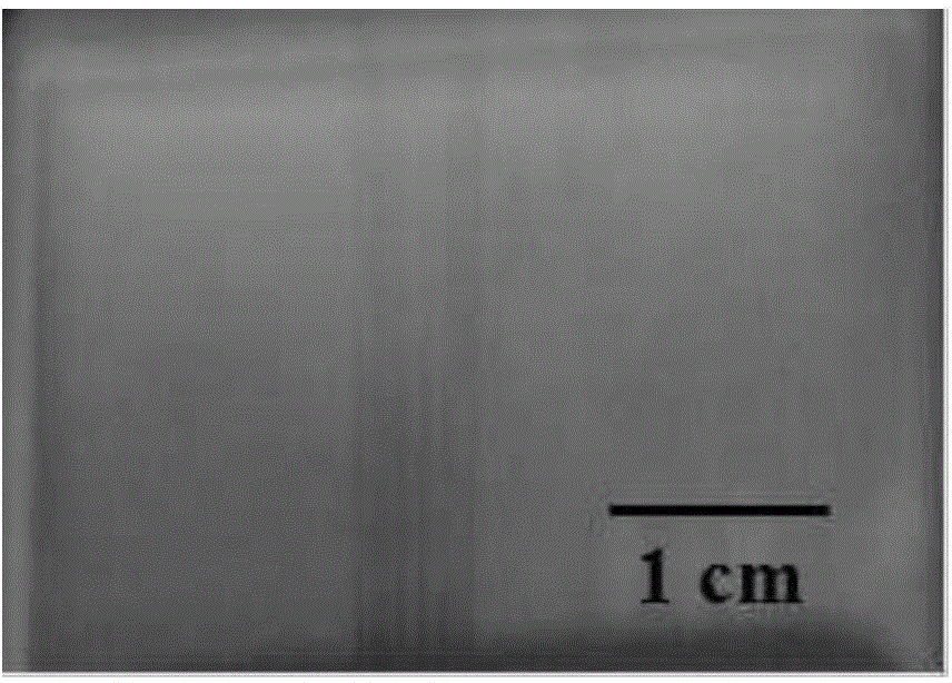 Preparation method of ianthinus photonic crystal structure colored film with photocatalysis effects