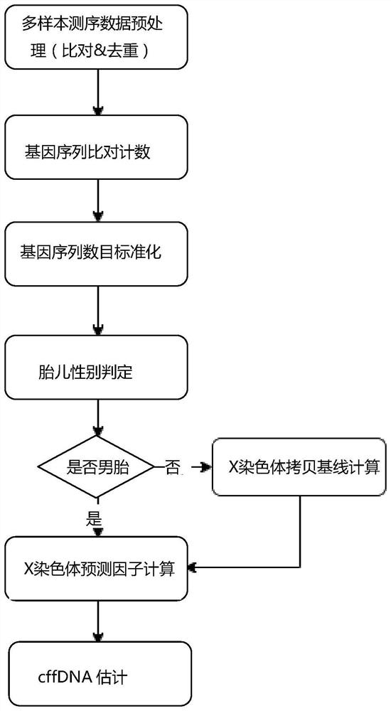 Male fetus cffDNA content calculation method based on X chromosome