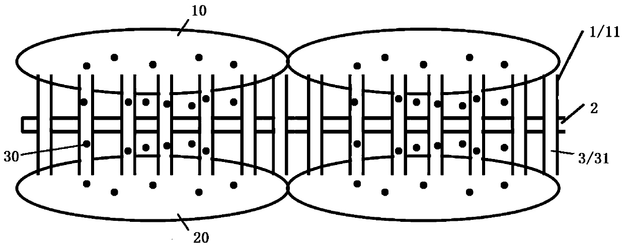 Double-sided hollow nanoneedle array device and preparation method thereof